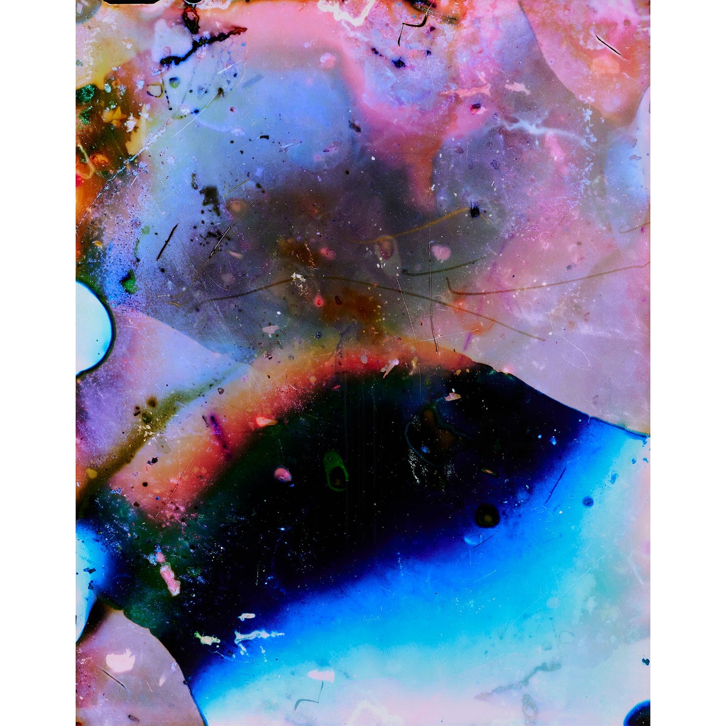 A Close Encounter with Mycena rosea