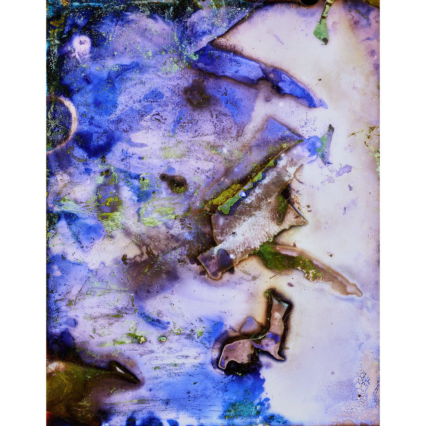 Lactobacillus, yeast, photosynthetic bacteria, actinomycetes, fungi