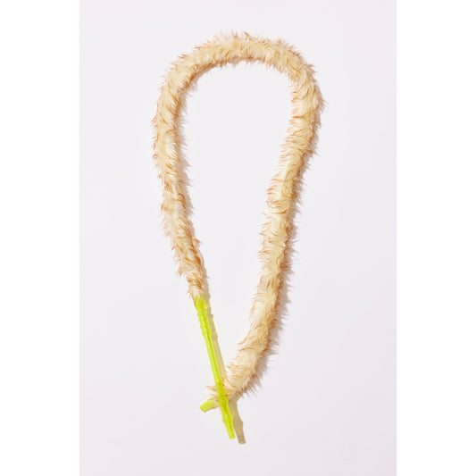 Untitled (fantasy hose)