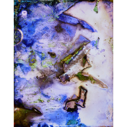 Lactobacillus, yeast, photosynthetic bacteria, actinomycetes, fungi