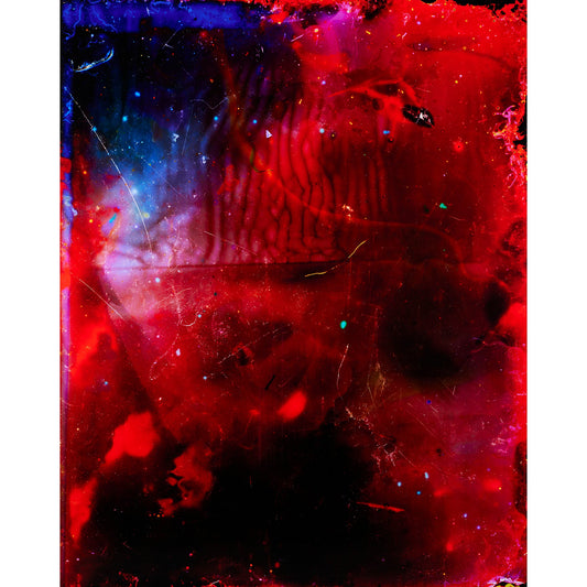 Hot Compost (82 Hour Exposure)