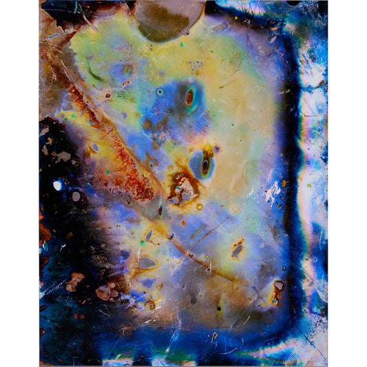 Photosynthetic Iridescence (B. Pavonina mimic)